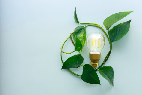 Orai ir klimatas diktuoja rytojaus energetikos madas: perėjimas nuo iškastinio kuro prie žaliosios energetikos kelia nemažai iššūkių