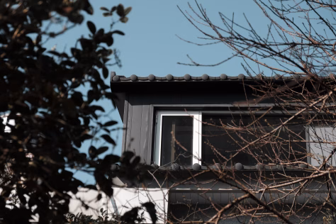 Audros, krušos ir gaisrai siaubia Lietuvą, draudikai fiksuoja rekordinius nuostolius visoje šalyje
