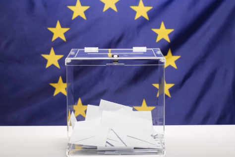 Ar Lietuva peržengia raudoną liniją? Teisininkai abejoja konservatorių siūlymu riboti balsavimo teisę