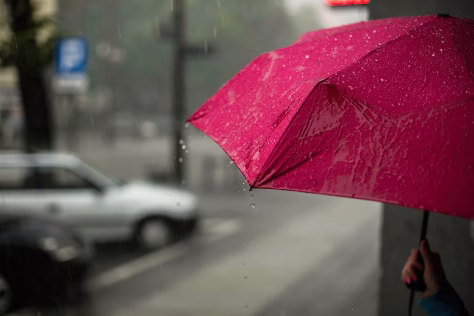 Mokslininkų tyrimas sukėlė pasaulinę paniką: europiečių laukia tikra tragedija, sužinokite, kas vyksta