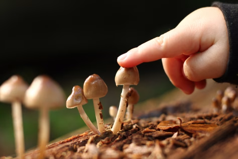 Miško nuotykiai, kurie gali baigtis ašaromis: svarbios taisyklės kiekvienai šeimai, keliaujančiai su vaikais