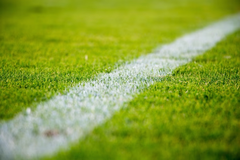 Pasaulio lietuvių sporto žaidynėse Palangoje: kvietimas diasporai pažinti Lietuvą iš naujo