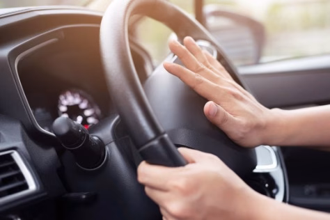 Stirnos ir šernai siautėja šalies keliuose: jau sudaužyta virš 150 automobilių, fiksuojamos žalos rekordinės