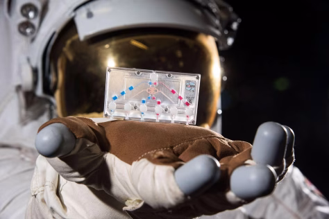 Mokslas jau peržengė visas ribas: NASA siunčia žmogaus organus į Mėnulį, sužinokite, kas čia vyksta