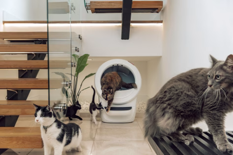 Sparčiai auga nauja buitinės technikos kategorija, daugiau jokio katės kraiko sėmimo rankomis