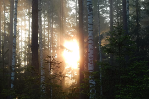 3 Zodiako ženklai, kuriems ši lapkričio savaitė atneš palengvėjimą, aiškumą ir emocinį atsinaujinimą