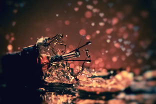 Gedimai namuose tyko tada, kai mažiausiai tikitės: ekspertai įspėja, kas gali virsti brangiais nuostoliais