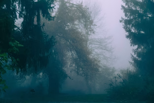 Sinoptikai ragina pasiruošti jau dabar: artėja permainos, kurios gyventojams sukels net ir galvos skausmą