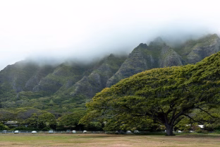 Netikėtas atradimas prie Havajų salų krantų: mūsų klimatui gresia milžiniška katastrofa