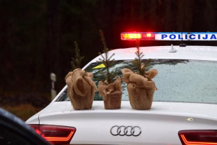 Šventinė eglutė ne iš miško, o iš širdies: akcija, primenanti, kad Kalėdos prasideda nuo atsakomybės