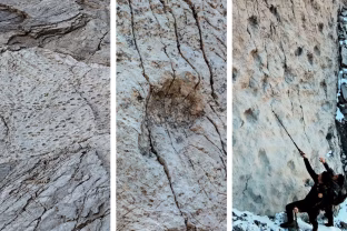 Stulbinantis atradimas Alpėse: vertikalioje uoloje rasti šimtus metrų besidriekiantys dinozaurų pėdsakai