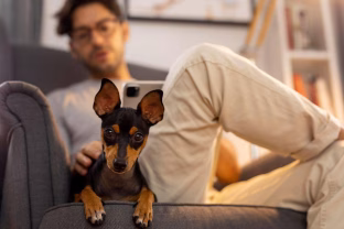 Mokslininkai perspėja: netinkamas augintinio vardas gali turėti didelės įtakos jo charakteriui