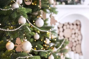 Šių faktų apie kalėdinę eglutę dar nebūsite girdėję, ką iš tikrųjų reiškia ši šventinė tradicija?