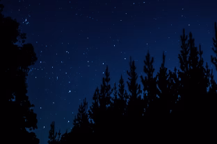 Mokslininkai tai pamatė pirmą kartą: užfiksuotas stulbinantis juodosios bedugnės efektas