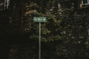 Mokslininkai atskleidė tiesą apie viešuosius tualetus: pavojus tyko visai ne ten, kur visi bijo sėsti