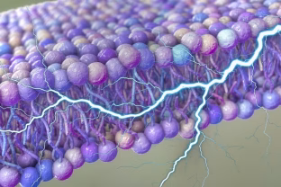 Viską keičiantis atradimas: JAV mokslininkai aptiko naują ir itin slaptą vidinį energijos šaltinį