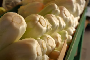 Tikras stebuklas, bet tinka ne visiems: visi giria šią daržovę, tačiau gydytojai įspėja