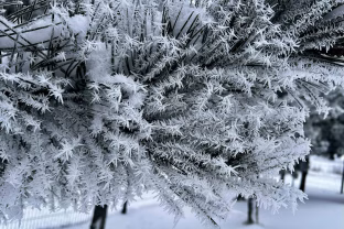 Neįprastas sausis kelia nerimą: sinoptikai įspėja visus gyventojus, blogiausia dar tik ateina