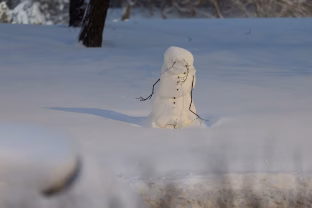Pasiruoškite rimtiems šalčiams: artėja ledinis smūgis, speigas smogs visai Lietuvai