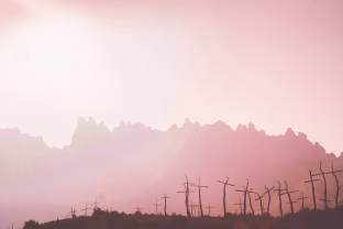 Pasaulis pasmerktas išnykimui: visą žmoniją pražudys ne milžiniški asteroidai, o patys žmonės