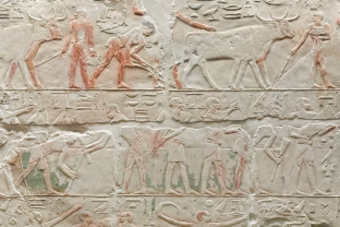 Egipto dykumoje aptikti milžiniški hieroglifai: mokslininkai įžvelgia ryšio su kosmosu paslaptį