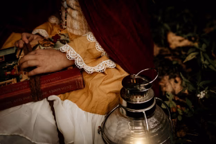 Istorinis skandalas: garsiajame Anos Bolein portrete iš tiesų nutapyta kita karalienė