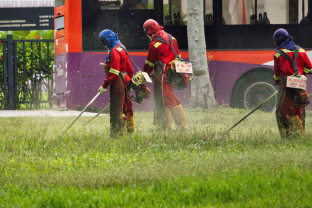 Mokslininkai sukrėsti: dažnai naudojami pesticidai siejami su neurologinėm ligom