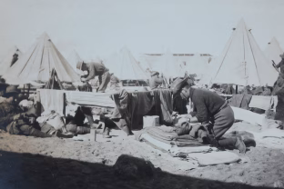 Mokslininkai neteko žado: viena mitybos korekcija gali iš esmės pakeisti kovą su infekcija