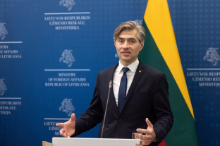 Svarstomas reikšmingas sprendimas dėl Lietuvos vaidmens: Budrys ragina neieškoti atskirų kelių