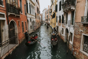 Veneciją užplūdo pavojingos medūzos kanibalės: mokslininkai perspėja apie ekologinę katastrofą