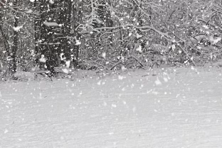 Šaltis traukėsi, bet ketvirtadienį Lietuvą pasieks tai, kas gali pakeisti visų planus per vieną naktį