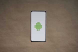 Paaiškėjo, kuri „Android" versija šiuo metu dominuoja pasaulyje, rezultatai nustebins