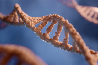 Mokslininkai atskleidė stulbinantį ilgaamžiškumo raktą: pamiršk dietas ir alinantį sportą