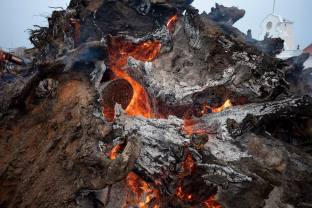 Šias atliekas žiemą išmetate, bet pavasarį jos būtų aukso vertės jūsų pomidorams