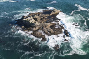 Bermudų trikampio paslaptis atskleista: mokslininkai prabilo apie pavojingas okeano jėgas