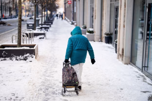 Beveik trečdalis lietuvių į pensiją neskuba: aiškėja, kaip jie planuoja išgyventi senatvėje
