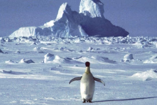 Po ledu slypintis milžinas: atradimas, kuris privertė mokslininkus perrašyti žemėlapius