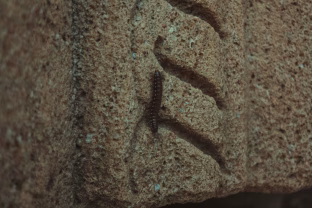 Šokiruojantis radinys Anglijoje: 1500 metų senumo kardas slepia paslaptingus runų užrašus