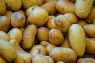 Senas liaudiškas metodas grįžta: padeda greičiau nei tikėjotės, o ingredientą rasite savo virtuvėje