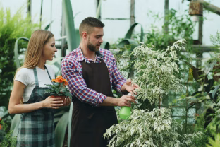 Gudrūs sodininkų patarimai: kaip sukurti mini šiltnamį ir automatinį laistymą namuose