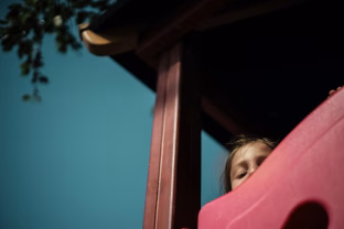 Ar nusikaltėliai galės toliau slėptis už formuluočių? Vyriausybė nepritarė griežtesnėms pataisoms