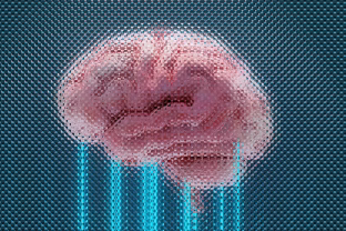 Mokslininkai sukūrė 3D tinklą, kuris 91 % tikslumu „perskaito" mini smegenų signalus