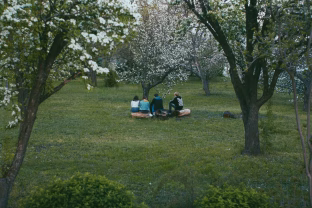 Sodo specialistai atskleidė: kada balinti vaismedžius, kad apsaugotumėte juos nuo kenkėjų