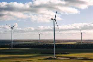 Rekordiškai šilti orai ir išaugusi vėjo jėgainių gamyba mažino elektros energijos kainas: šalyje mažėjo vartojimas, tačiau augo gamybos apimtys