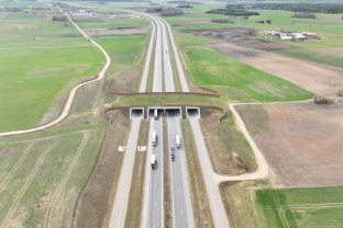 „Via Lietuva“ atskleidė, kokie gyvūnai jau naudojasi „Via Baltica“ magistralėje esančiu žaliuoju tiltu