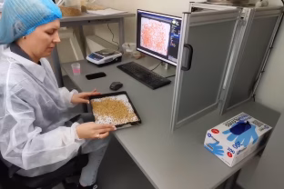 Lietuvių sukurtas dirbtinio intelekto sprendimas grūdų kokybės tyrimus pagreitina 600 kartų