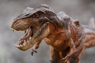 Senovės dinozauro DNR tapo rankinės audiniu: mokslas pavertė seniausią žvėrį mados sensacija