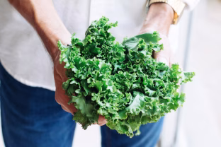 Bandė maitintis veganiškai, bet po dviejų savaičių vos atlaikė: atskleista, kas tokio nutiko