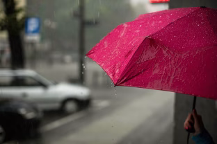 Mokslininkų tyrimas sukėlė pasaulinę paniką: europiečių laukia tikra tragedija, sužinokite, kas vyksta