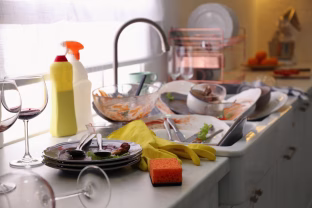 Kokią priemonę rinktis indams plauti – kempinę ar šepetį? Tyrimas atskleidė šokiruojančią tiesą